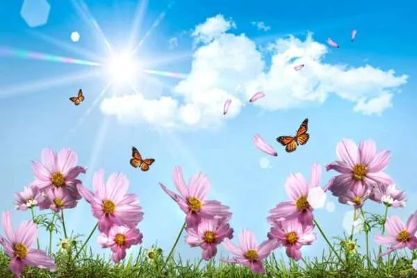 3D Flower Customized Wall Covering Design | Bring Nature's Elegance Indoors - 195 - Image 2