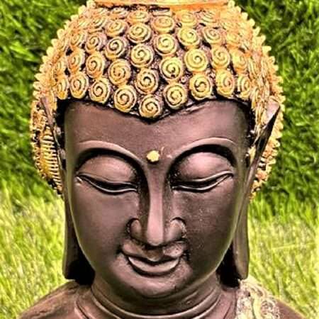 Good looking statue for living area - 035